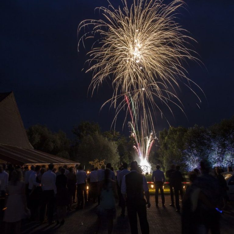 Feuerwerk erleuchtet den Nachthimmel über Zuschauer in einem Park.